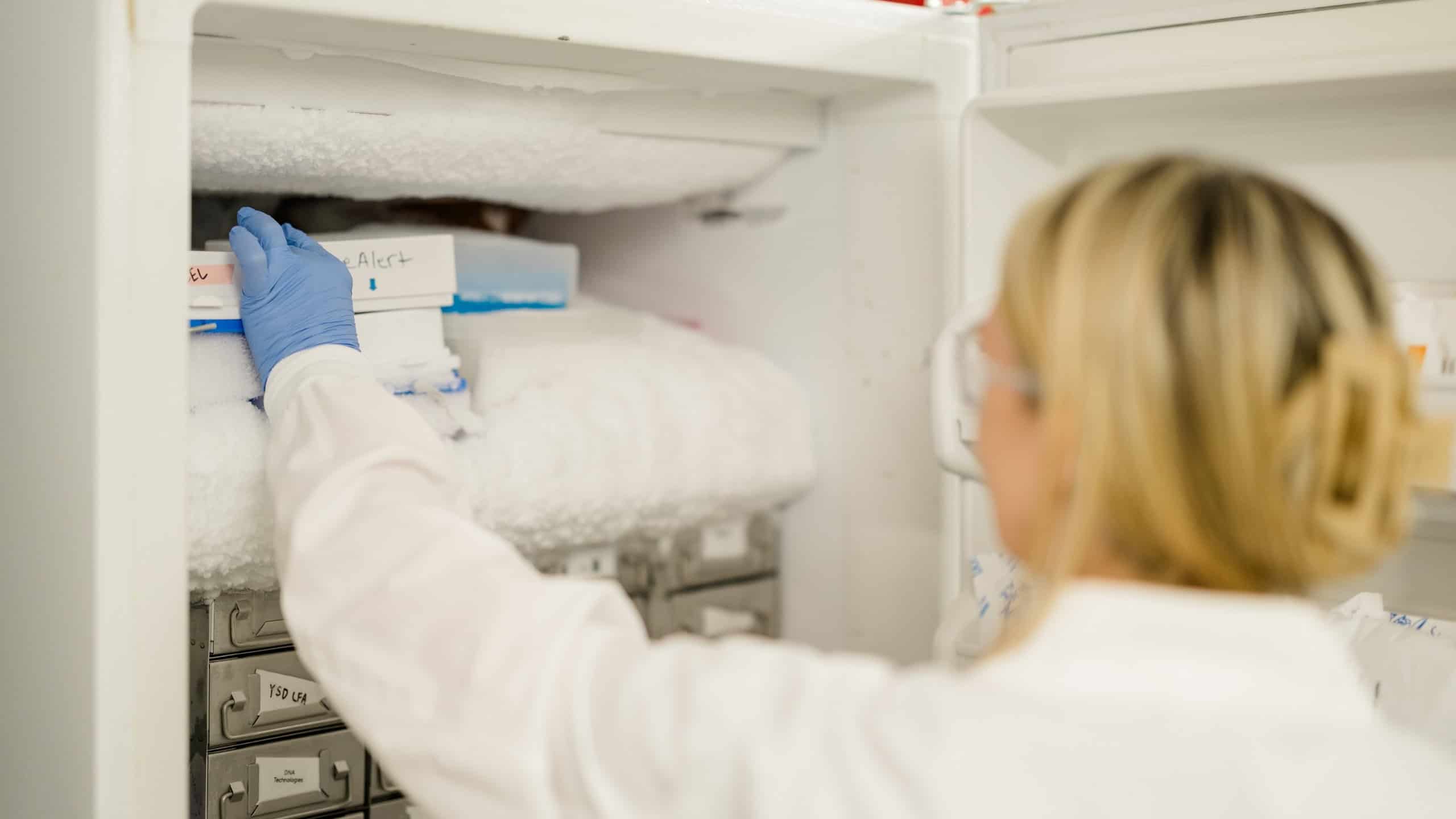 Cold storage laboratory technician handling samples in a lab freezer Close-up of healthcare worker handling Lyme Alert medical equipment in a refrigerator.