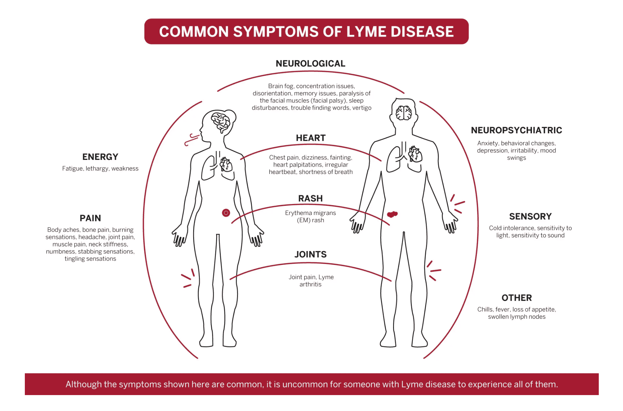 5 Early Signs of Lyme Disease Most People Miss and Why Timing Matters