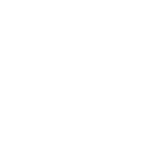Bay Area Lyme Ventures logo with shield and sunburst design.